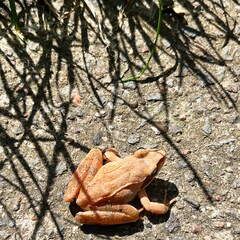 24-07-01 11-11-24 0051